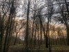 201216_4427a