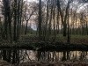 201216_4429a