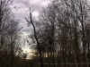 201216_4430a