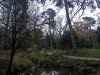 201216_4431a