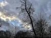 201223_4476dxo