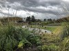 201223_4461dxo