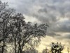 210108_4607dxo