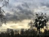 210108_4608dxo