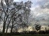 210108_4610dxo