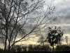 210108_4611dxo