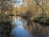 210109_4613dxo