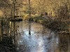 210109_4615dxo