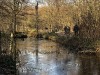 210109_4617dxo