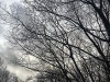 210114_4628dxo