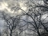 210114_4629dxo