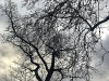 210114_4630dxo