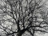 210114_4632dxo