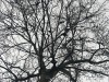 210114_4632dxo1