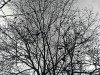 210114_4633dxo