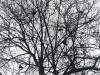 210114_4633dxo1