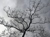 210114_4634dxo