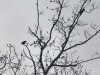 210114_4634dxo1