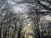 210122_4648dxo1