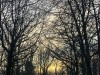 210122_4650dxo1