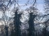 210122_4651dxo1