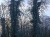 210122_4652dxo1