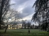 210124_4655dxo1