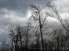 210201_4684dxo1