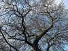 210202_4686dxo1