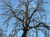 210202_4687dxo1