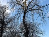 210202_4688dxo1