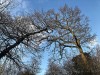 210202_4689dxo1