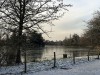 210211_4713dxo1