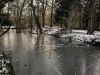 210211_4721dxo1