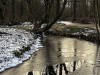 210211_4749dxo1