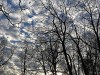 210212_4750dxo