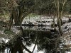 210212_4753dxo