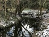 210212_4754dxo