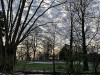 210212_4756dxo