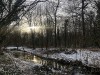 210213_4768dxo