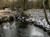 210213_4771dxo