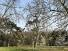 210302_4799dxo