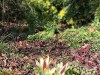 210302_4802dxo