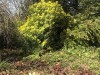 210302_4803dxo