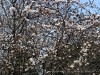 210302_4806dxo
