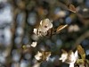 210302_4808dxo