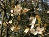 210302_4809dxo