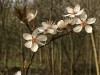 210302_4810dxo