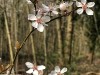 210302_4811dxo