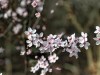 210302_4812dxo